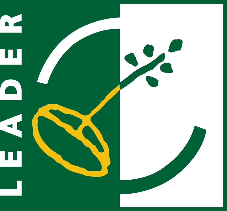 LEADER logo-DLDC